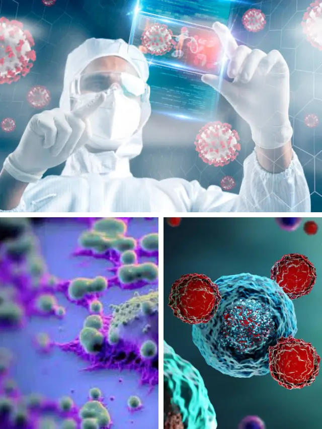 How 3D Animation Simplifies the Complex Biology of Skin Aging