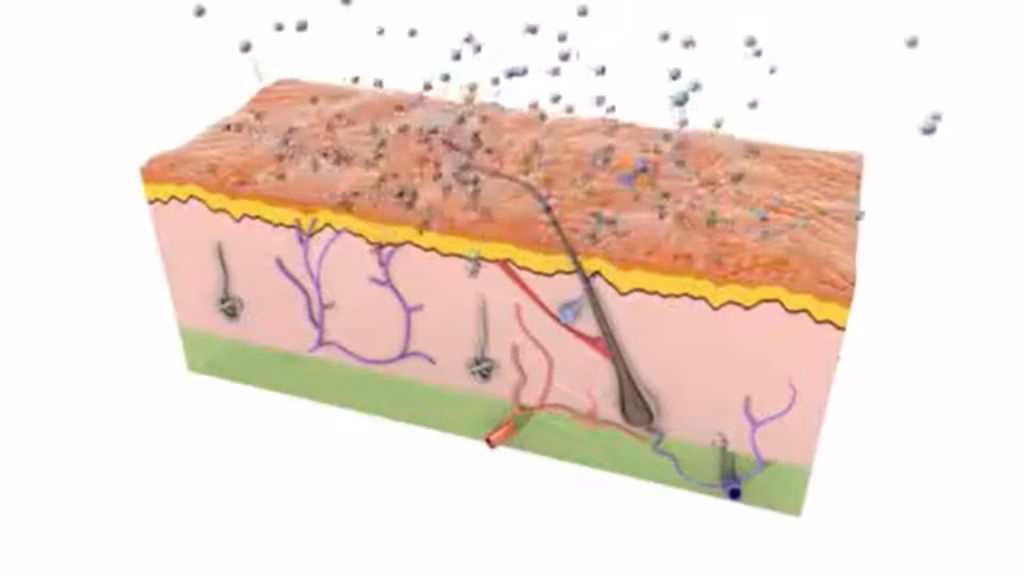 Skin-Aging-Process-Explained-with-3D-Video-Animation-Case-Study
